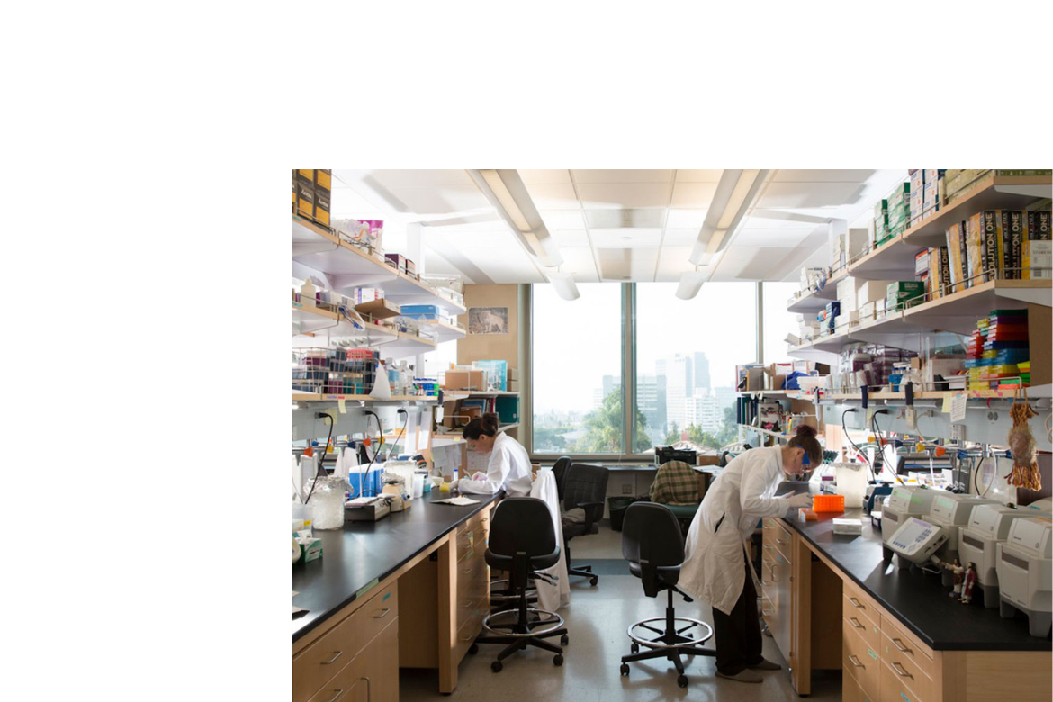 Students in white lab coats working at benches in a university research laboratory