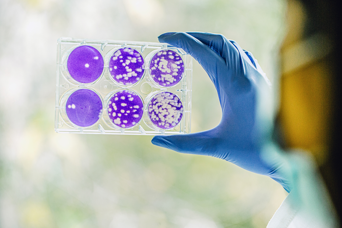 UCLA mathematician and Fields Medal winner Terence Tao smiling near a chalkboard